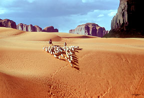 Giclee Prints in several sizes of  Navajo Indians Herding Sheep offered as art prints