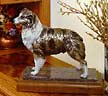 bronze sheperd dog